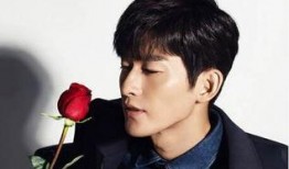 张翰朋友爆料视频大全集,揭秘明星私生活幕后真相