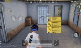 最新巡查员爆料视频,揭秘现场惊人一幕！